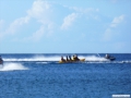 P1000485